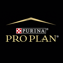 Pro Plan