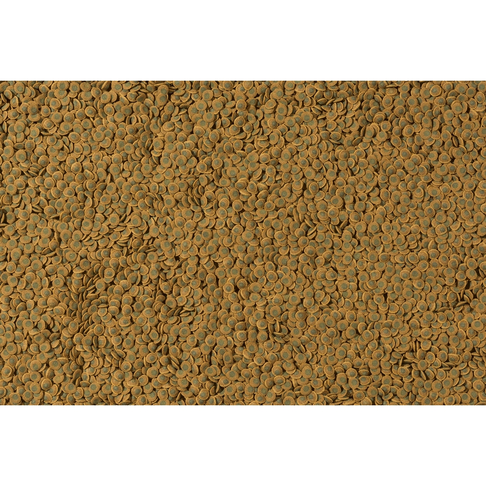 TETRA PLECO VEGGIE WAFERS корм чипсы для растительноядных донных рыб (15 гр) 2