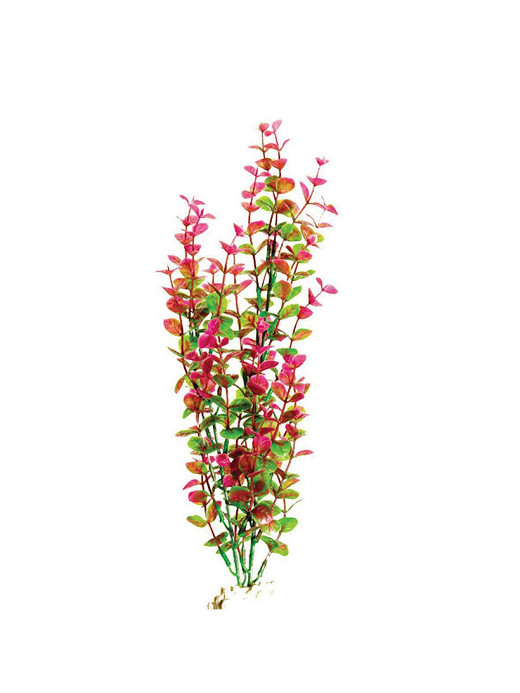 Растение Plant 025 Бакопа КРАСНАЯ, 10см