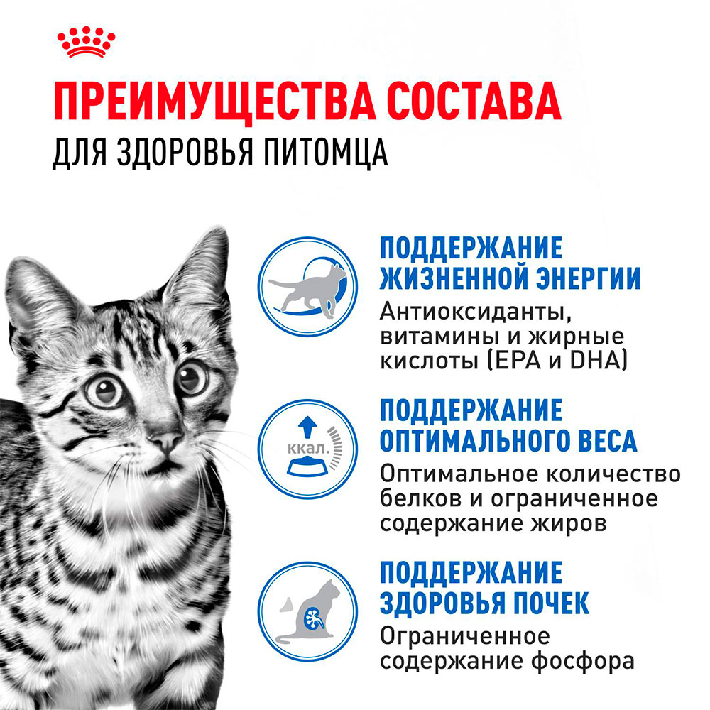 Royal Canin INDOOR 7+ Влажный корм (пауч) для пожилых кошек старше 7 лет, кусочки в желе, 85 гр. 4