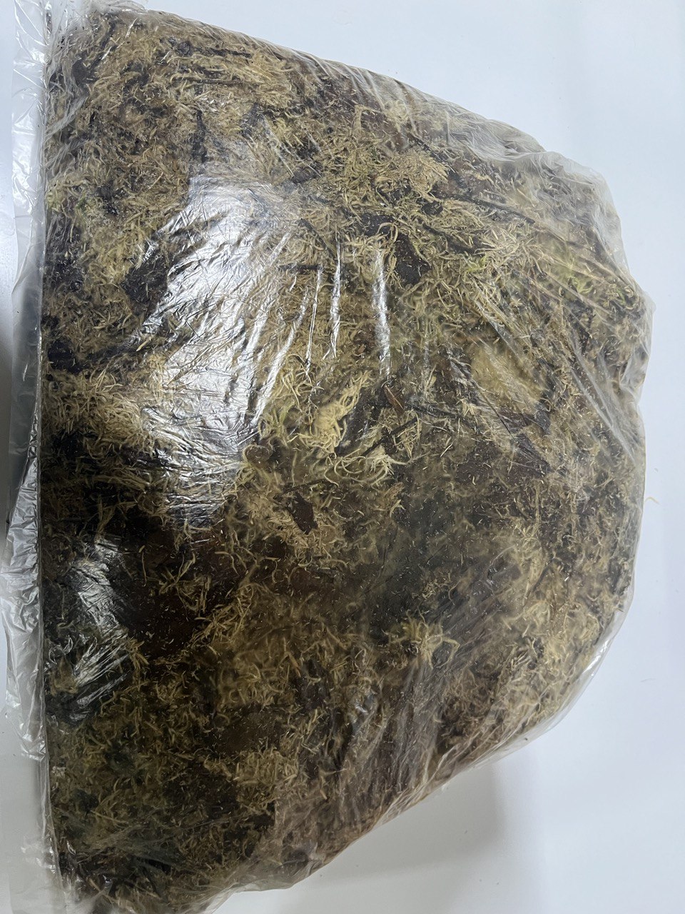 Мох сфагнум 10 л