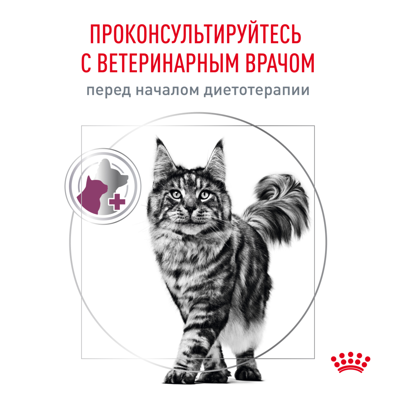 Royal Canin Renal With Fish Влажный корм (пауч) для кошек, с рыбой, 85 гр. 9
