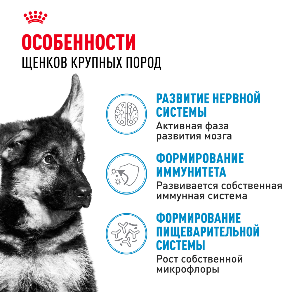 Royal Canin Maxi Puppy Сухой корм для щенков крупных пород в возрасте от 2 до 15 месяцев, 3 кг 2