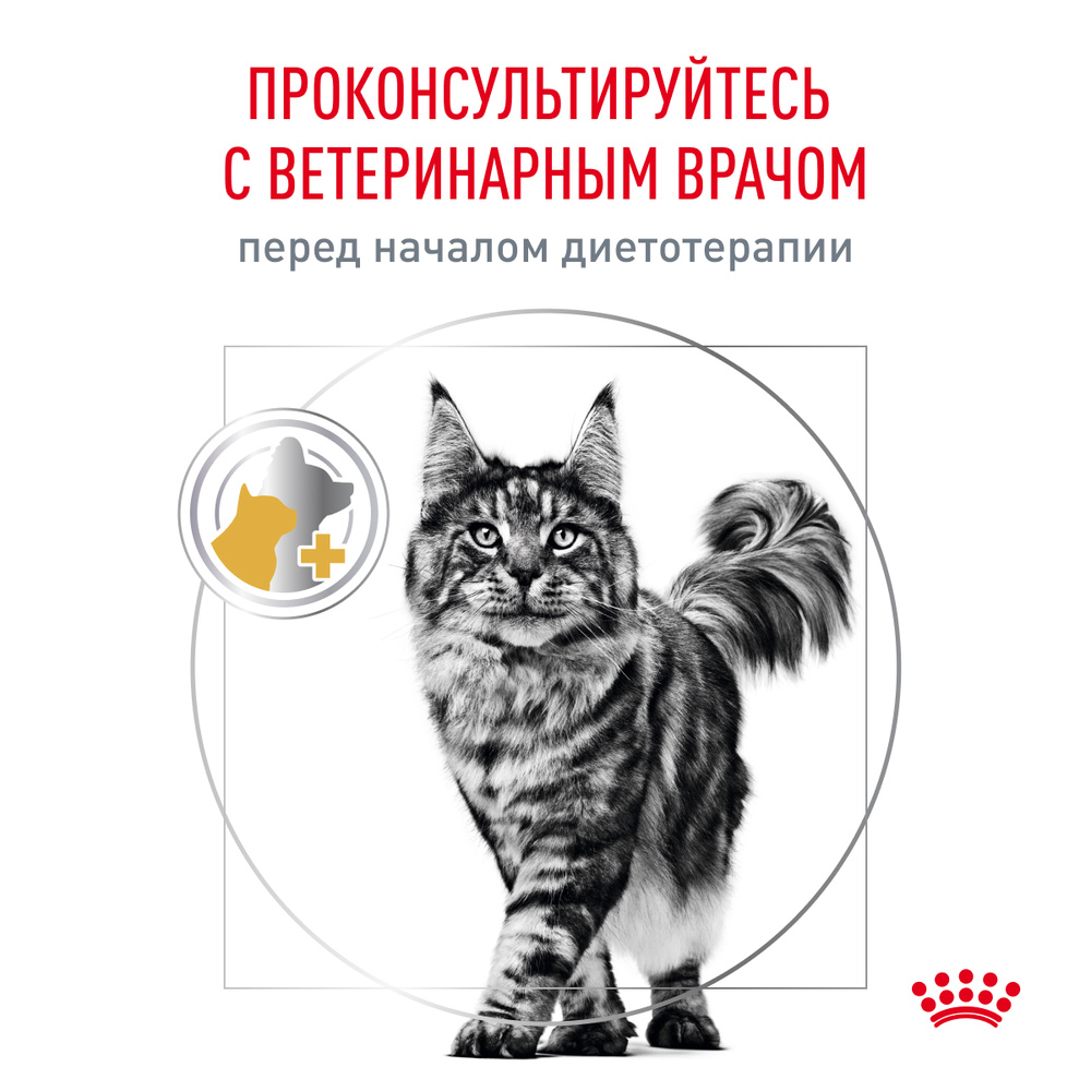 Royal Canin Urinary S/O Сухой корм для кошек при заболеваниях дистального отдела мочевыделительной системы, 350 гр. 11