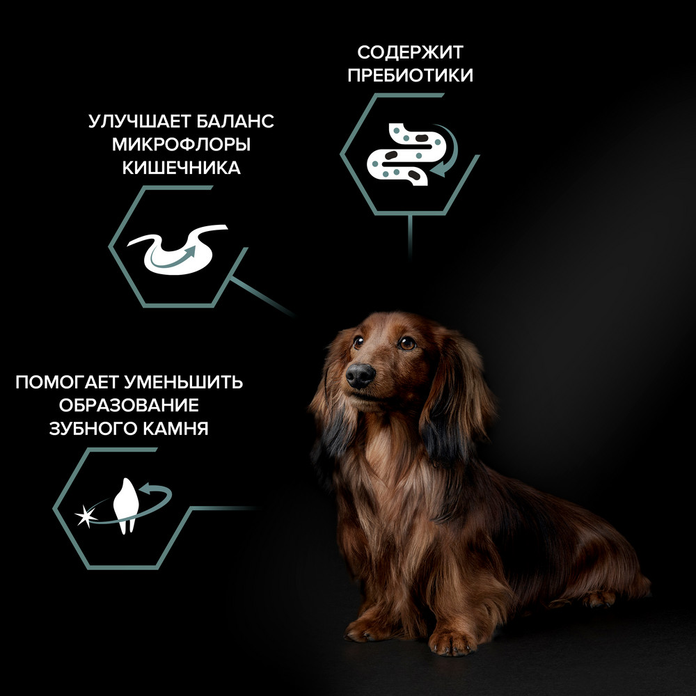 PRO PLAN Sensitive Digestion Сухой корм для взрослых собак для мелких и карликовых пород с чувствительным пищеварением, с высоким содержанием ягненка, 700 г 8