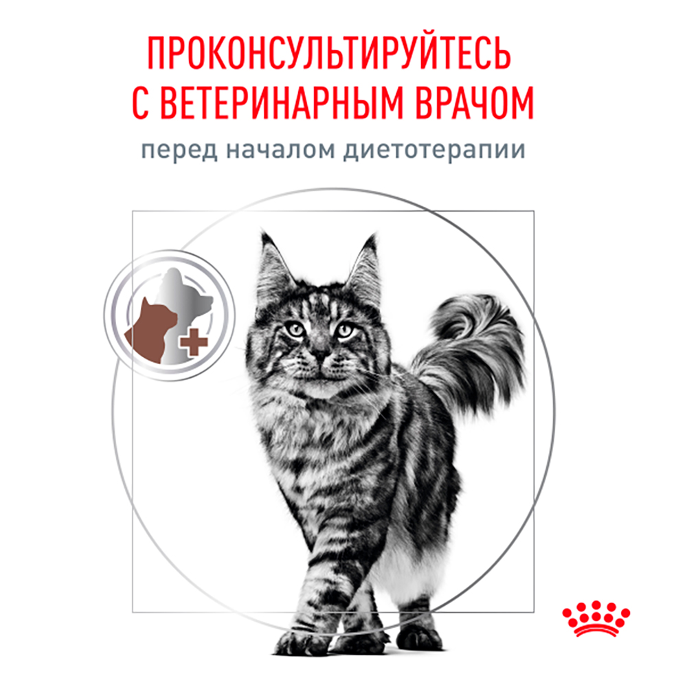 Royal Canin Gastrointestinal Влажный корм (пауч) для поддержания пищеварительной системы у кошек, 85 гр. 7