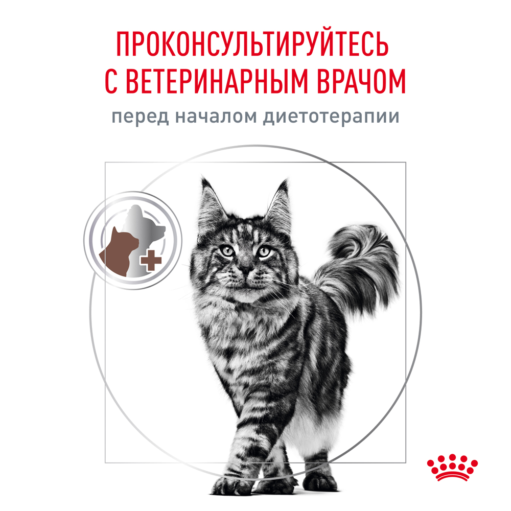Royal Canin Gastrointestinal Moderate Calorie Влажный корм (пауч) диетический корм для кошек при нарушении пищеварения, 85 гр. 8