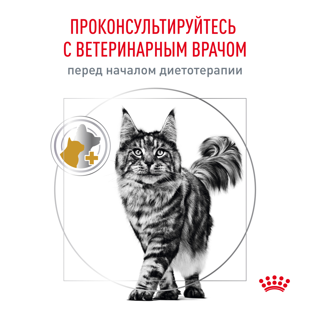 Royal Canin Urinary S/O Влажный корм (пауч) для кошек при заболеваниях дистального отдела мочевыделительной системы, 85 гр. 9