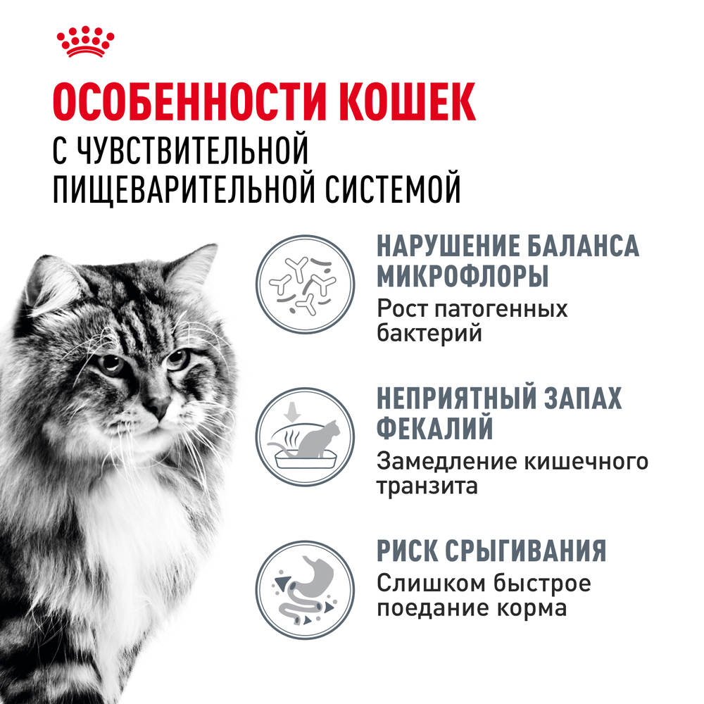 Royal Canin Digestive Care Сухой корм для взрослых кошек старше 1 года при чувствительной пищеварительной системе, 2 кг 4