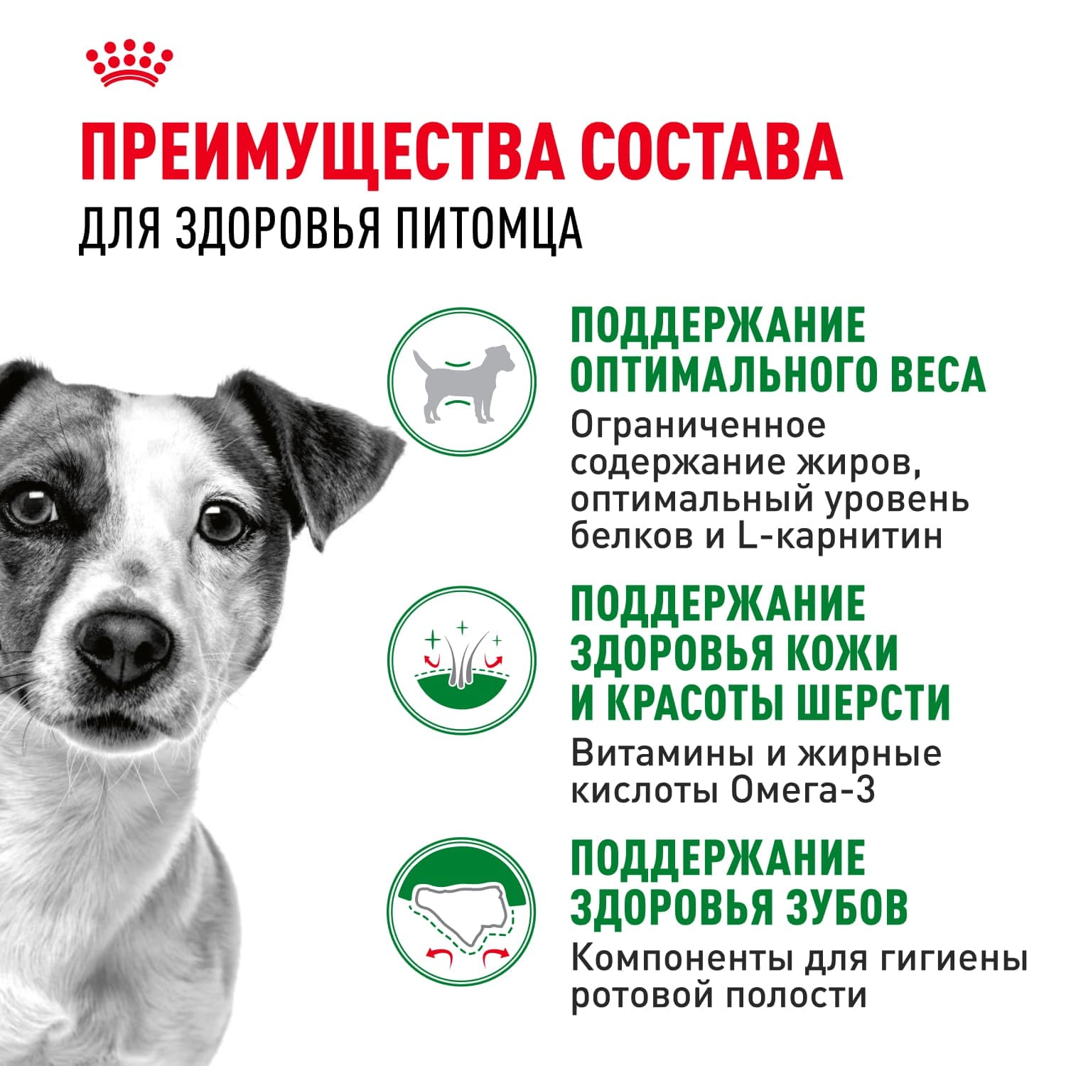 Сухой корм для взрослых собак мелких пород Royal Canin Mini Adult (Мини эдалт) 2 кг 5