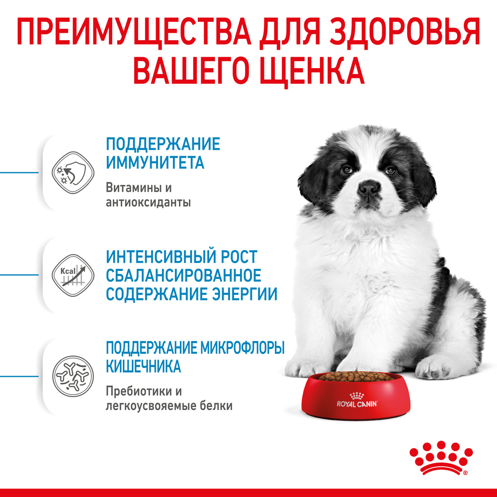 Royal Canin Giant Puppy 34 Сухой корм для щенков гигантских пород в возрасте от 2 до 8 месяцев, 3,5 кг 7