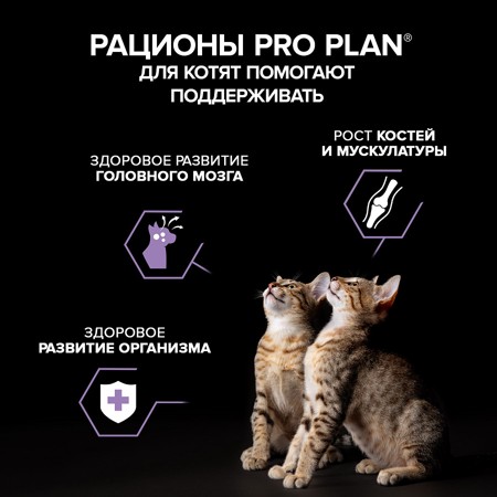 Влажный корм для котят, беременных и кормящих кошек Pro Plan HEALTHY START Паштет с индейкой 75 г 9