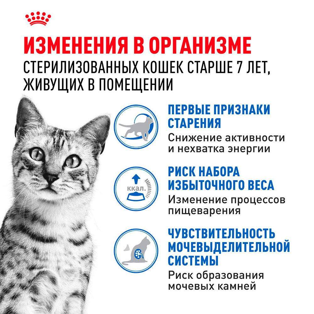 Royal Canin INDOOR 7+ Влажный корм (пауч) для пожилых кошек старше 7 лет, кусочки в желе, 85 гр. 3
