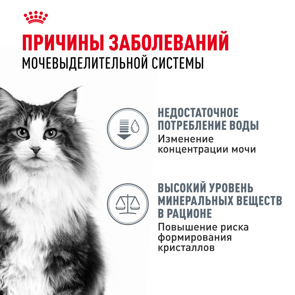 Royal Canin Urinary Care Влажный корм (пауч) для поддержания здоровья мочевыделительной системы у взрослых кошек, в соусе, 85 гр. 3