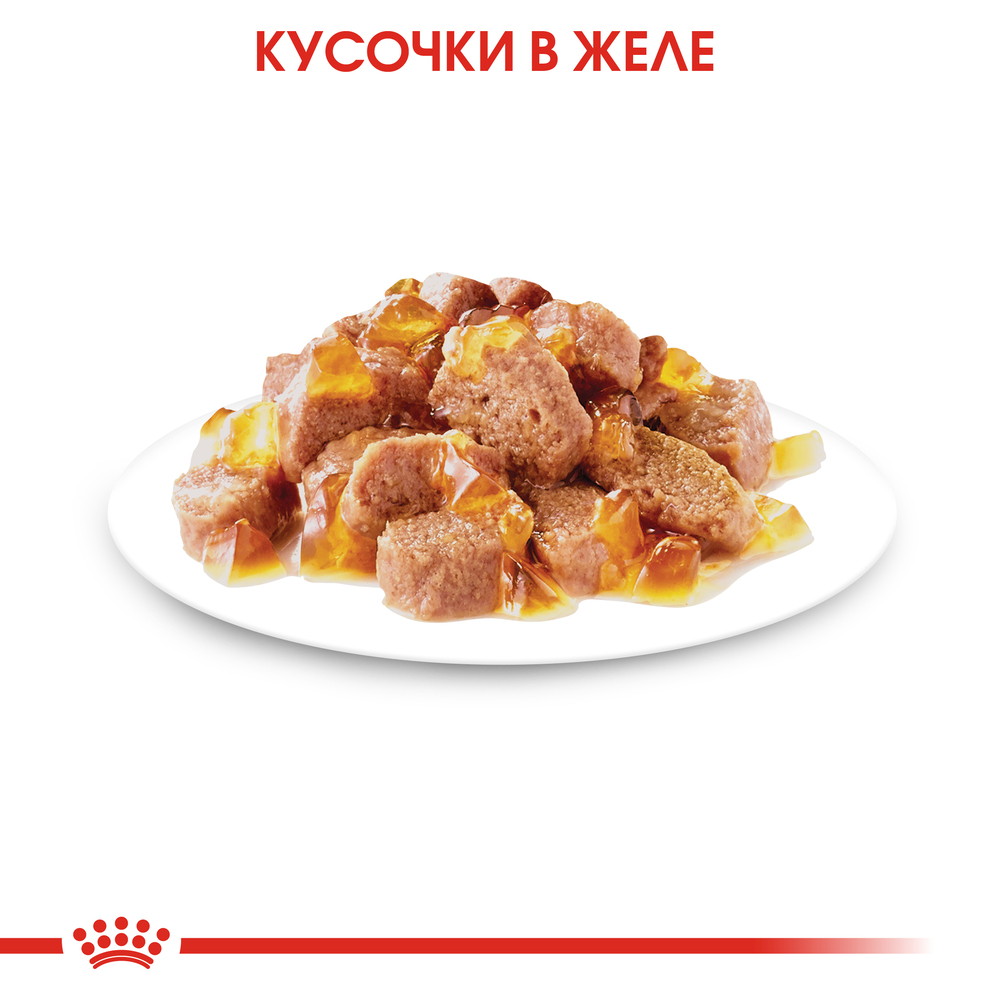 Royal Canin Instinctive Влажный корм (пауч) для кошек в возрасте от 1 года до 7 лет, мелкие кусочки в желе, 85 гр. 4