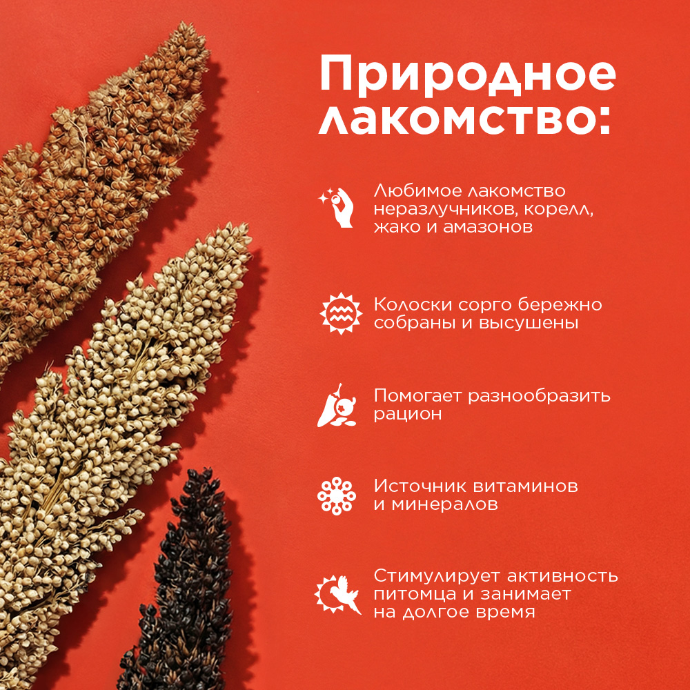 RIO Лакомство Сорго в колосьях для средних и крупных попугаев, 3 шт., 175 г 2