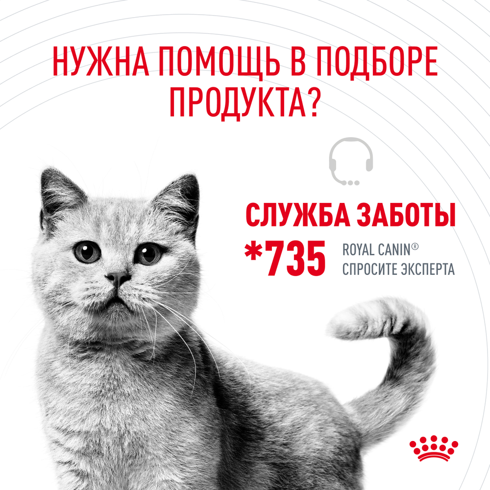 Royal Canin Intense Beauty Care Влажный корм (пауч) для поддержания здоровья кожи и блеска шерсти кошек, тонкие ломтики в соусе, 85 гр. 8