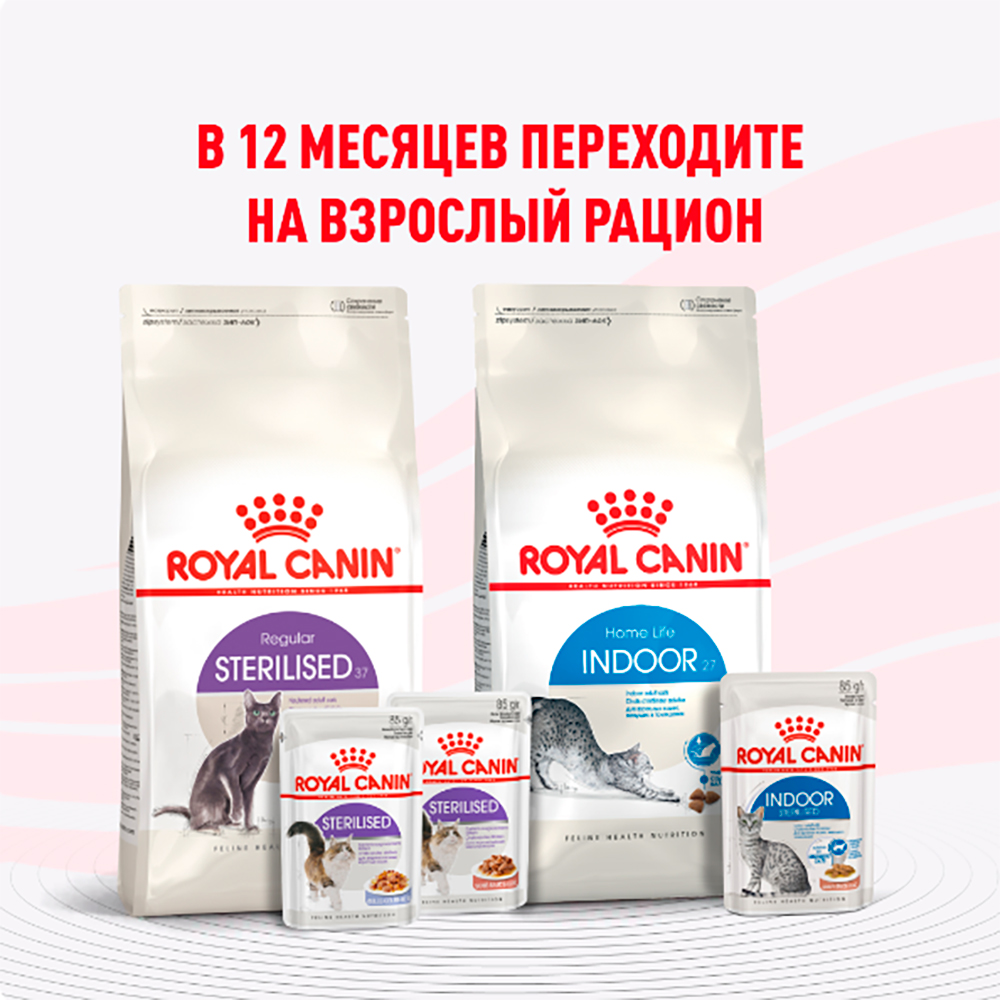 Royal Canin Kitten Sterilised Влажный корм (пауч) для кастрированных и стерилизованных котят, в желе, 85 гр. 8