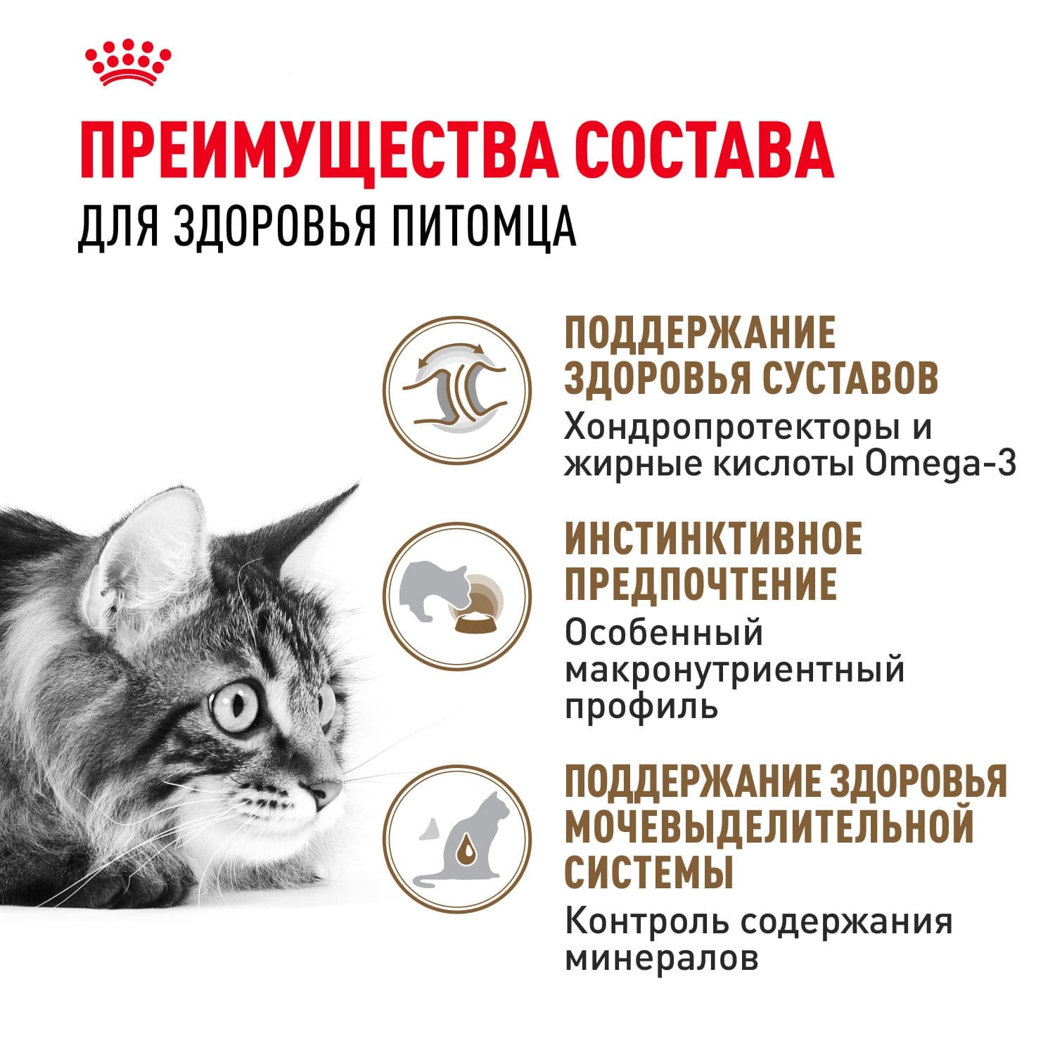 Влажный корм для стареющих кошек в возрасте старше 12 лет Royal Canin Ageing 12+ (Эйджинг 12+) Кусочки в cоусе 85 г 5