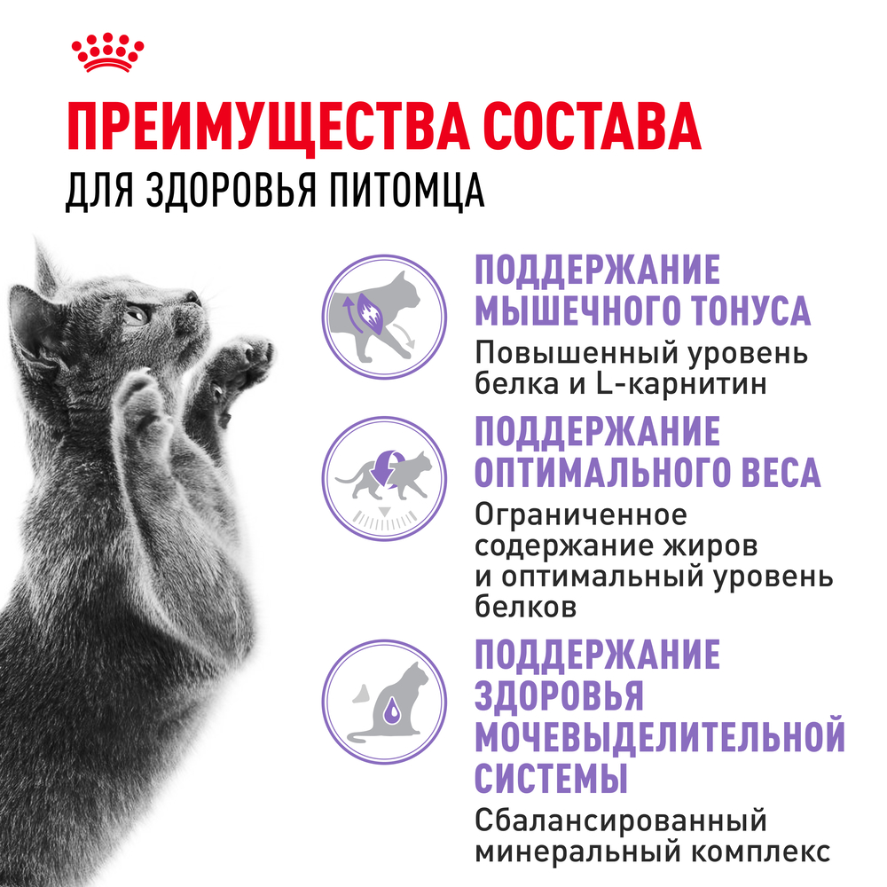 Royal Canin Sterilised 37 Regular Сухой корм для стерилизованных кошек с 1 до 7 лет, 200 гр. 4