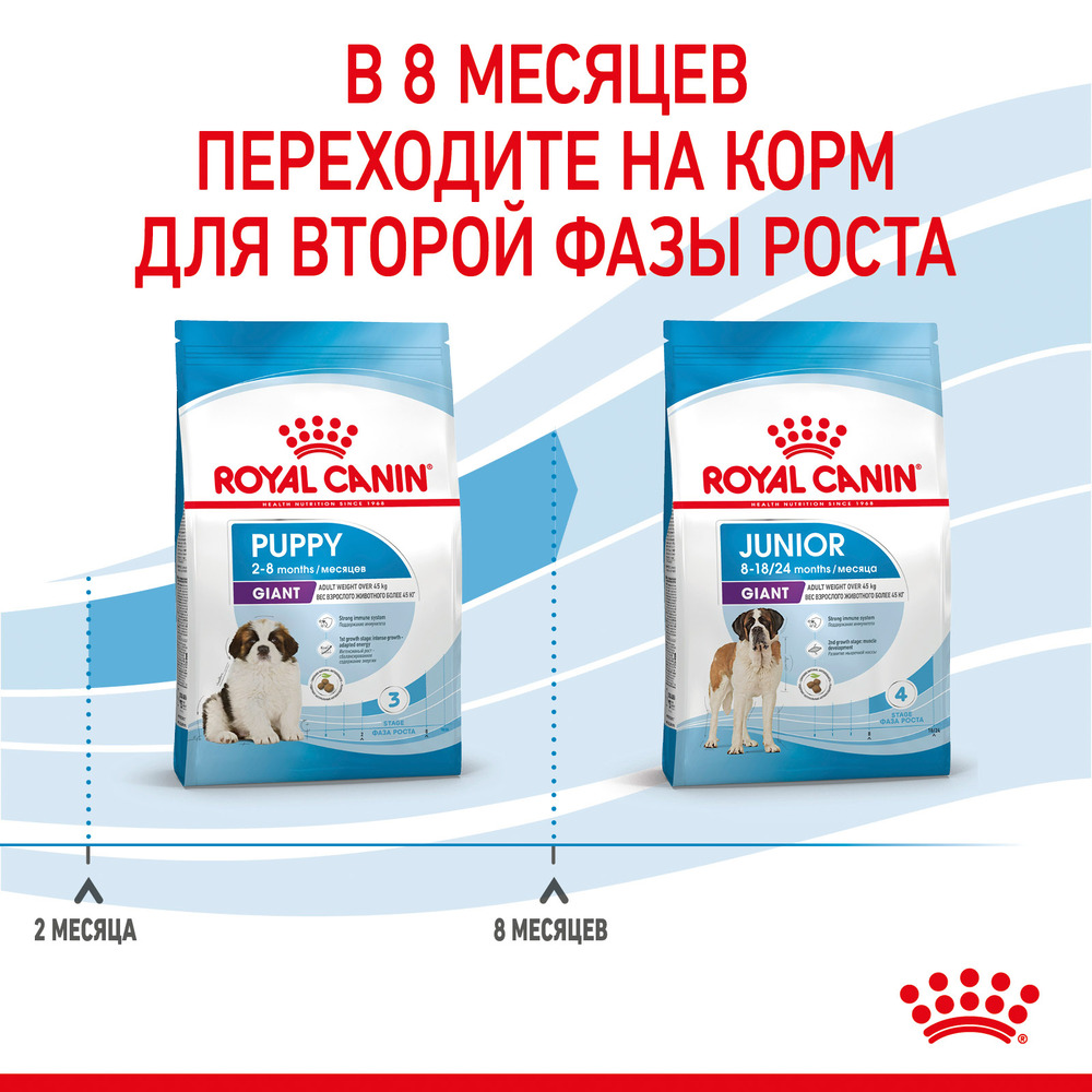 Royal Canin Giant Puppy 34 Сухой корм для щенков гигантских пород в возрасте от 2 до 8 месяцев, 3,5 кг 5