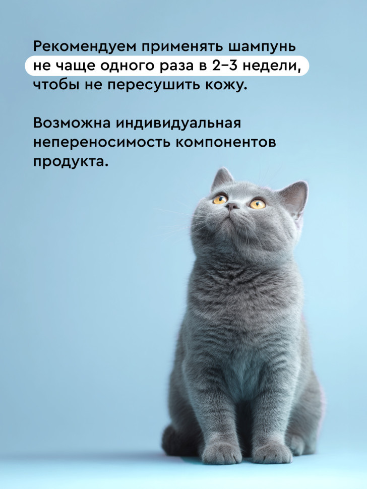 Pamilee шампунь для кошек и собак, с хлоргексидином - 444 мл 7