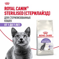 Сухой корм ROYAL CANIN MAXI ADULT для взрослых собак крупных пород от 15 месяцев до 5 лет (3 кг)