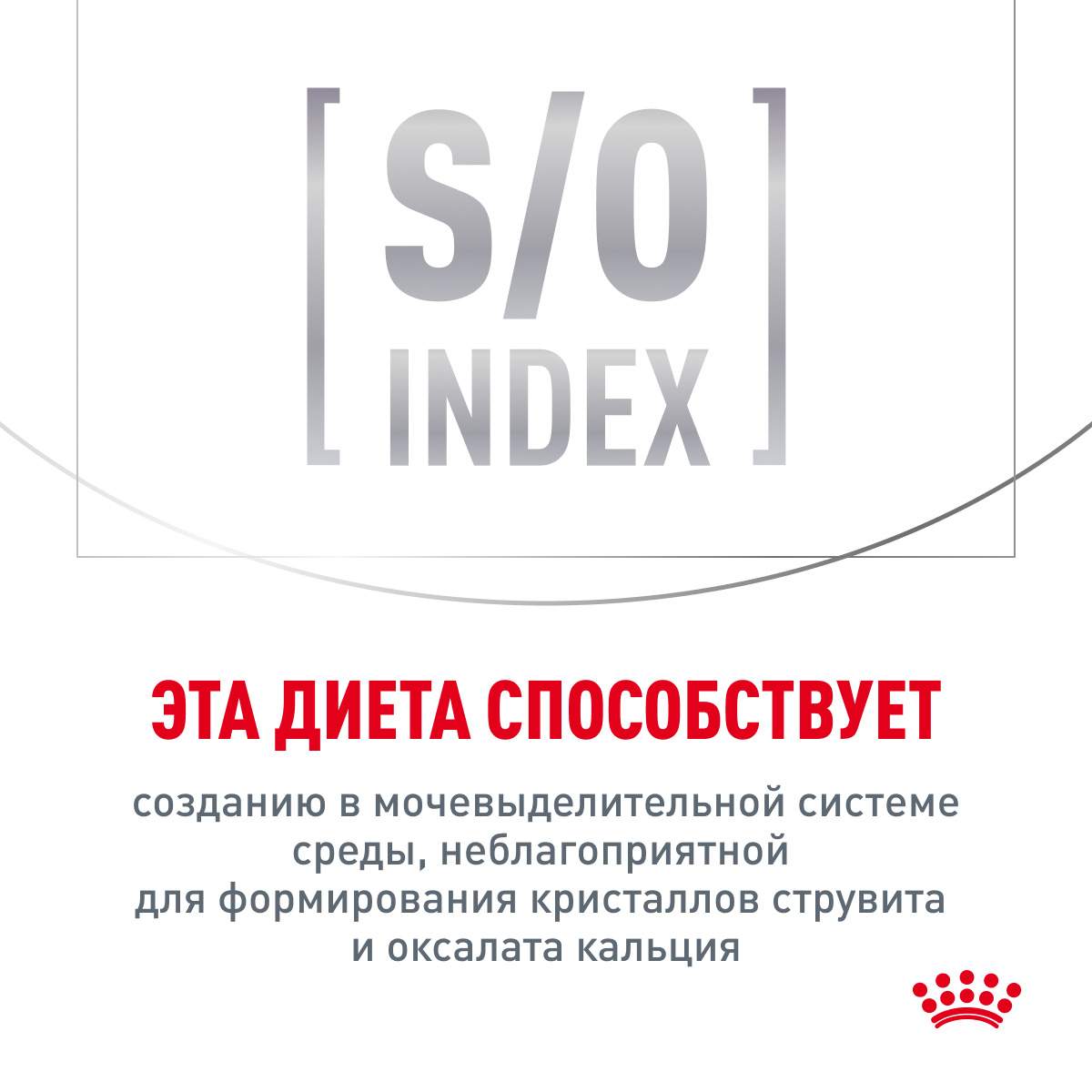 Royal Canin Hypoallergenic Сухой корм для кошек с пищевой аллергией, 350 гр. 8