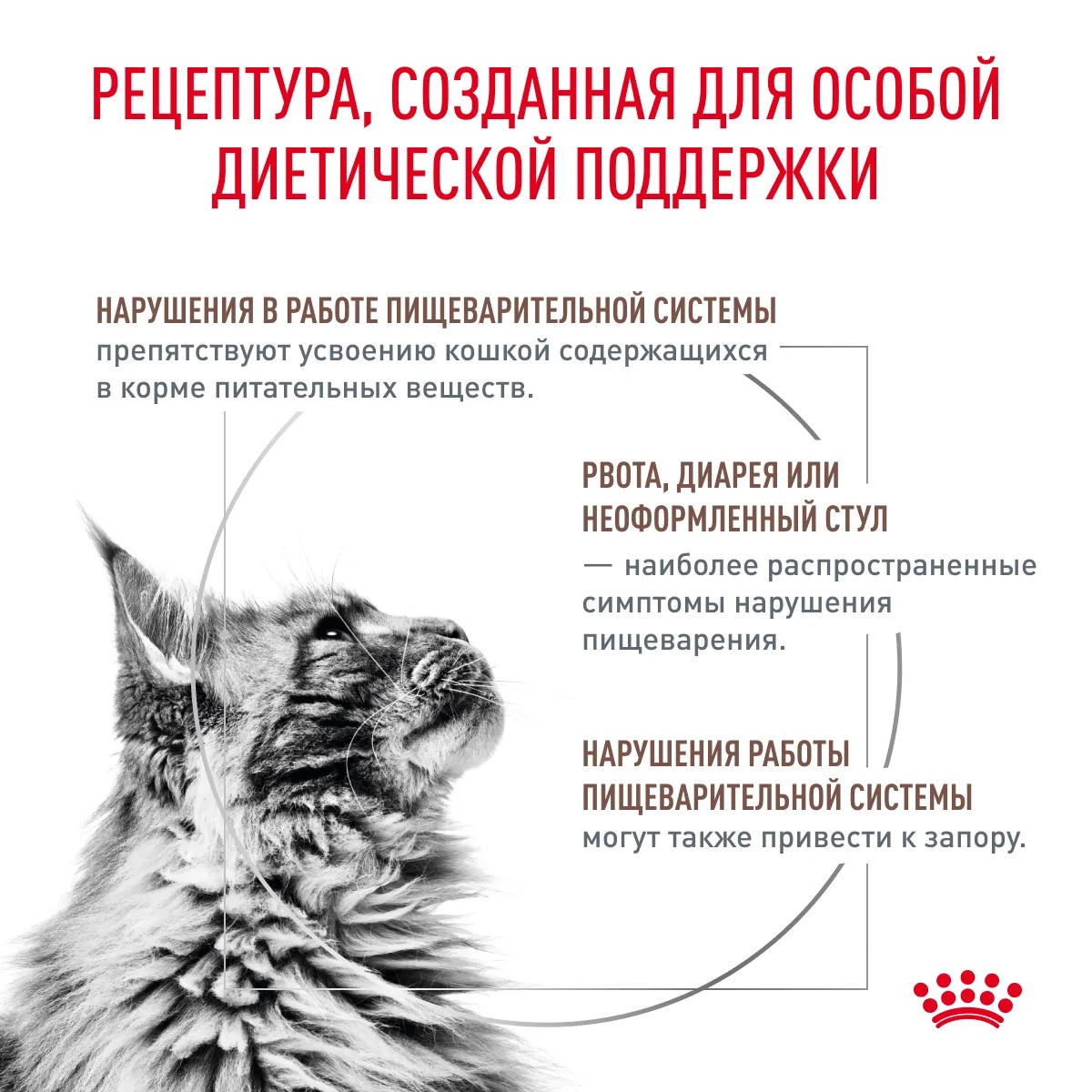 Сухой корм ROYAL CANIN GASTROINTESTINAL FIBRE RESPONSE для взрослых кошек при нарушениях пищеварения, запорах с повышенным содержанием клетчатки 5