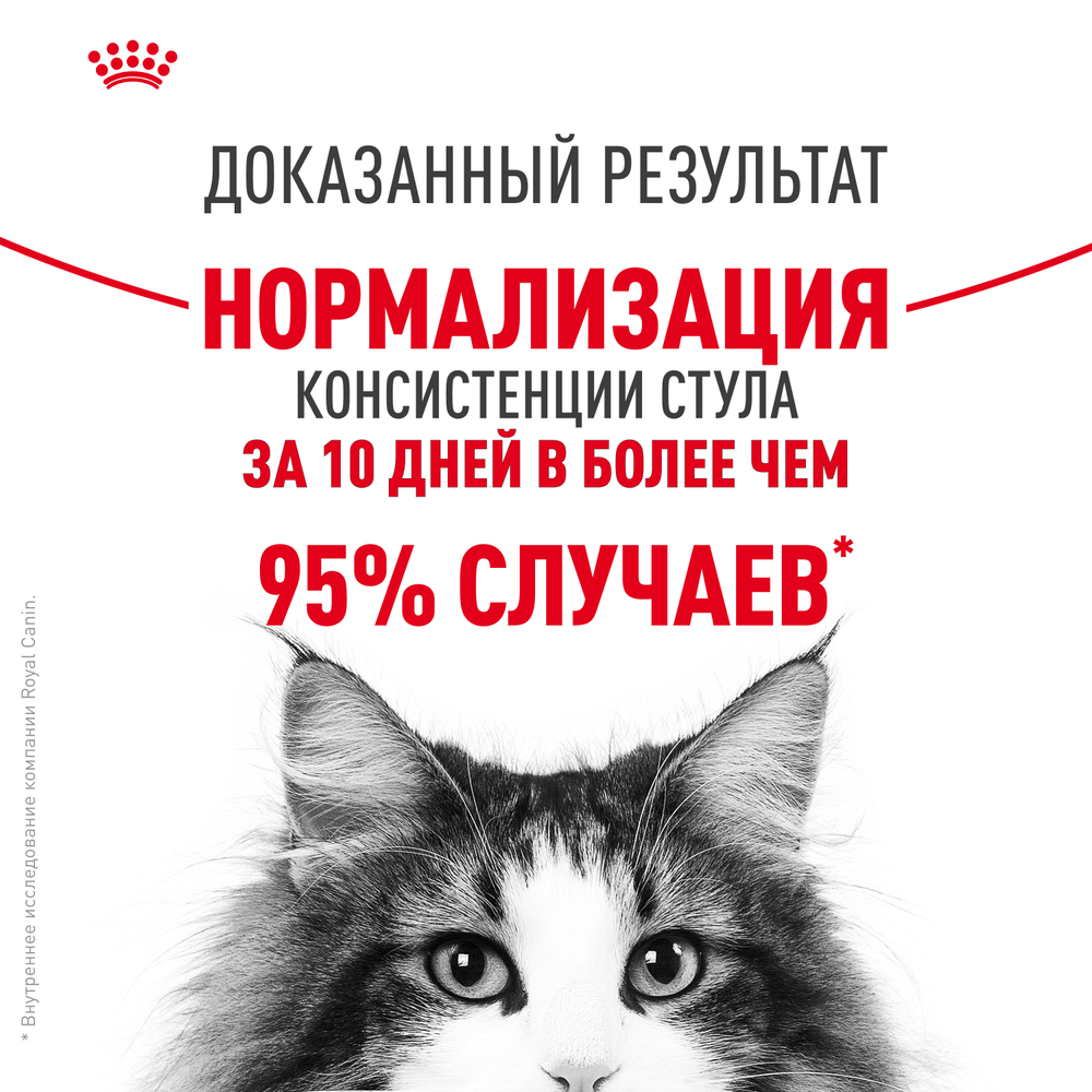Royal Canin Digestive Care Сухой корм для взрослых кошек старше 1 года при чувствительной пищеварительной системе, 400 гр. 6