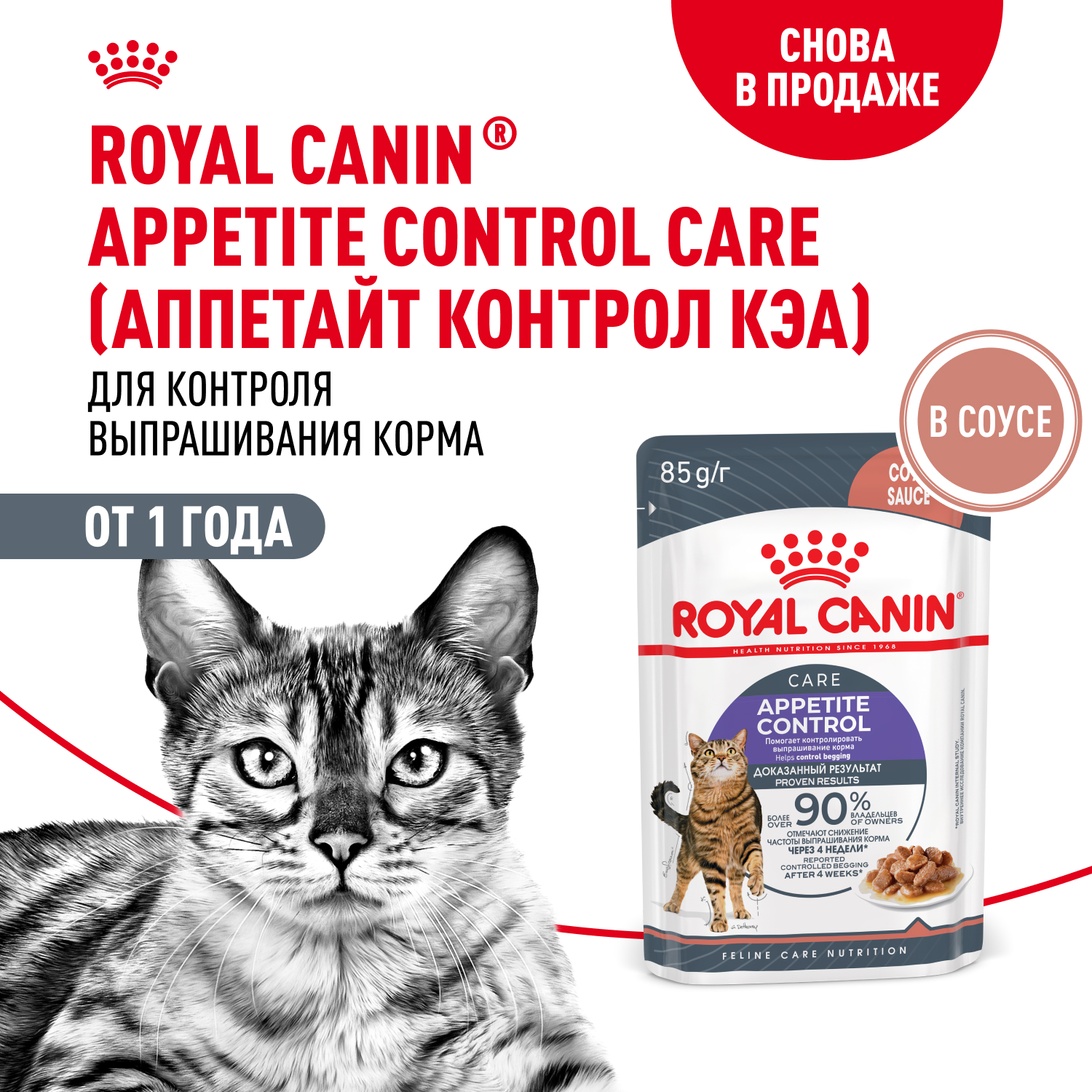 Royal Canin Appetite Control Влажный корм для кошек, для контроля выпрашивания корма, в соусе, 85 г 2