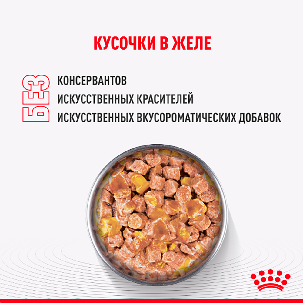 Royal Canin Kitten Sterilised Влажный корм (пауч) для кастрированных и стерилизованных котят, в желе, 85 гр. 5