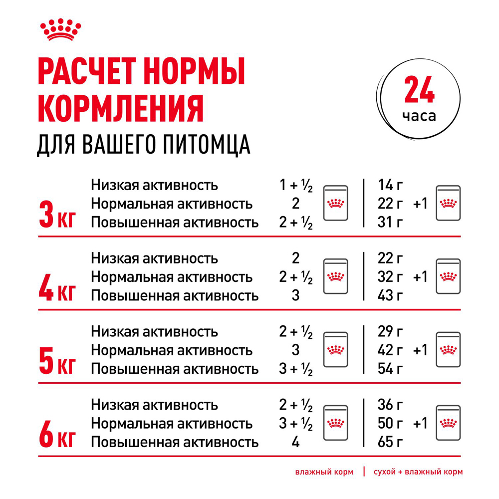 Royal Canin Ageing 12+ Влажный корм (пауч) для пожилых кошек старше 12 лет, кусочки в желе, 85 гр. 10