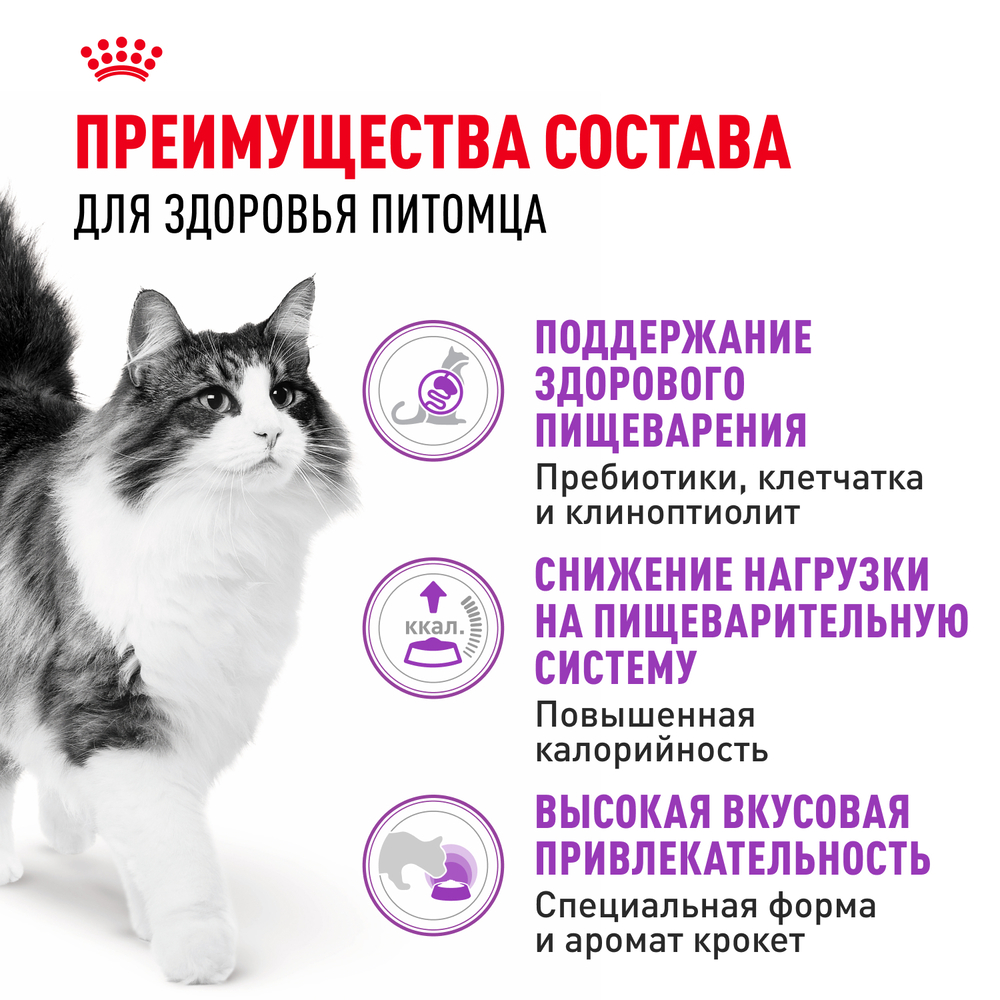 Royal Canin Sensible 33 Сухой корм для кошек с чувствительным пищеварением 200 г 3
