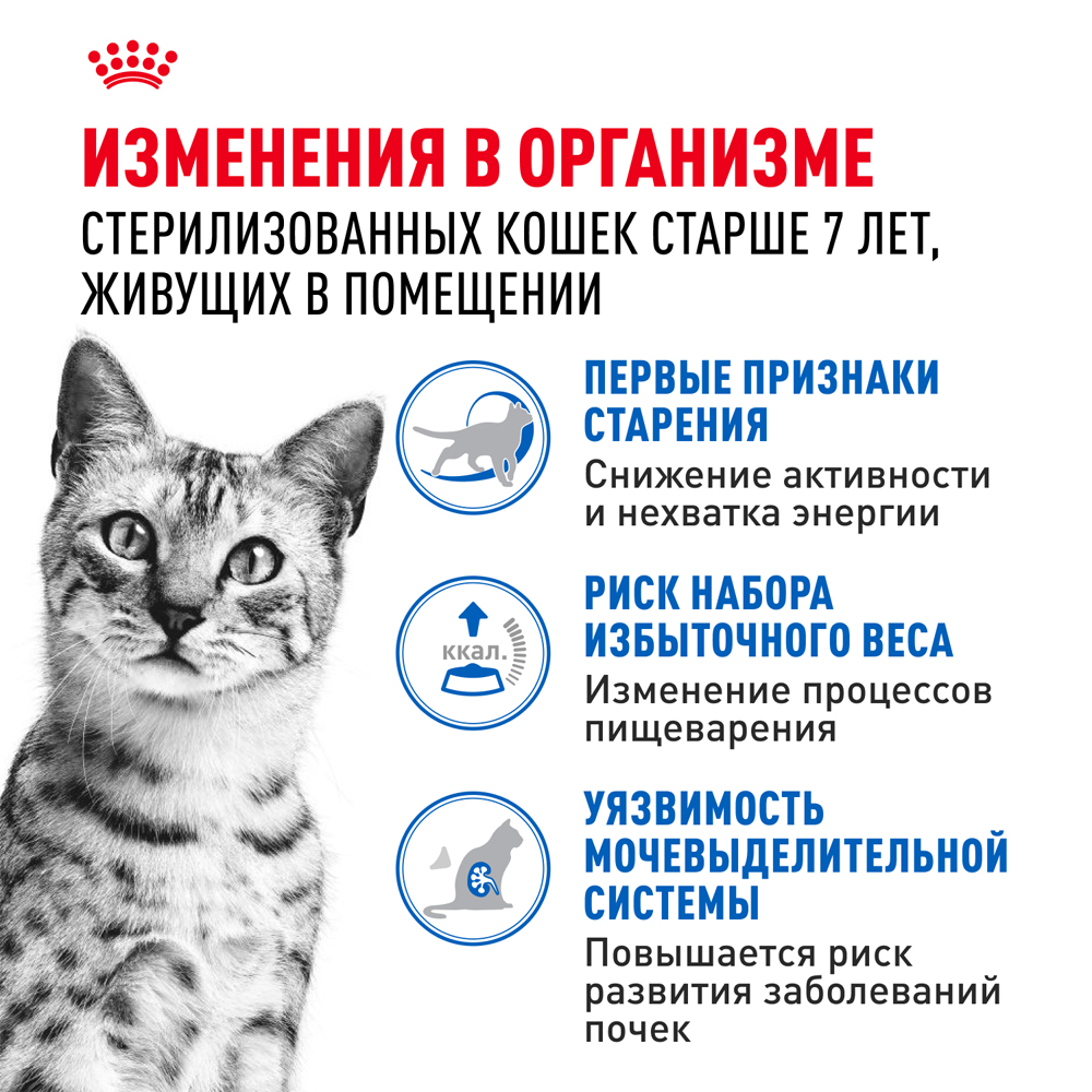 Royal Canin Indoor Sterilised 7+ Влажный корм (пауч) для взрослых кастрированных и стерилизованных кошек старше 7 лет, живущих в помещении, кусочки в соусе, 85 гр. 2