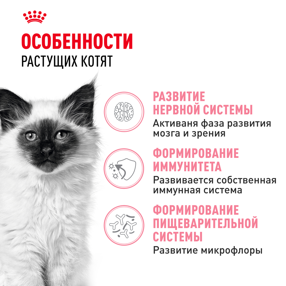 Royal Canin Kitten 36 Second Age Сухой корм для котят в возрасте от 4 до 12 месяцев, 300 гр. 2