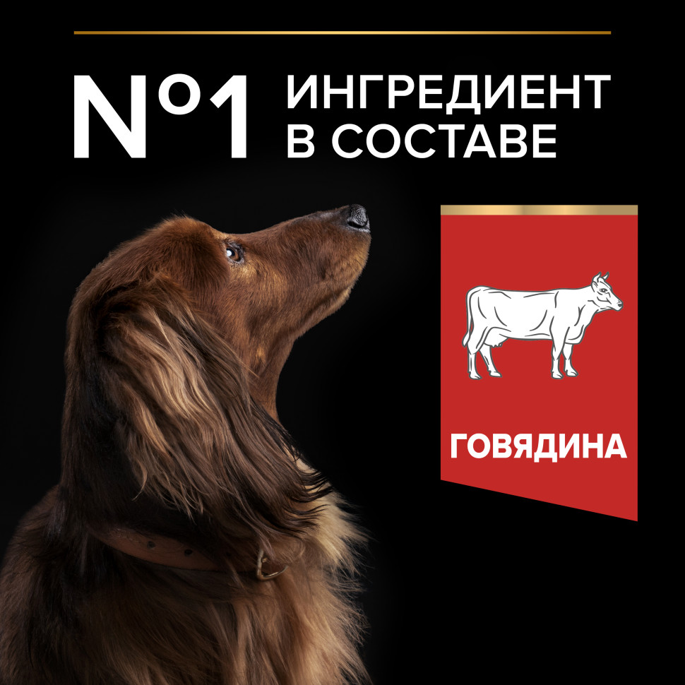 Pro Plan Adult Duo Delice сухой корм для взрослых собак мелких и карликовых пород с двойной текстурой гранул, с говядиной - 700 г 5