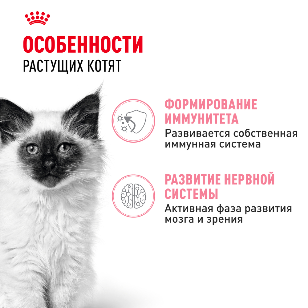 Royal Canin Kitten Влажный корм (пауч) для котят от 4 до 12 месяцев, кусочки в соусе, 85 гр. 2