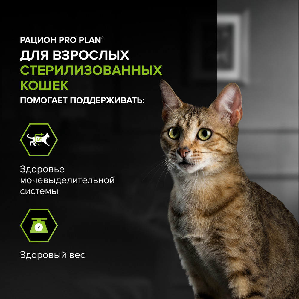 PRO PLAN Сухой корм для стерилизованных кошек, с индейкой, 800 г 5