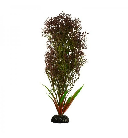 Растение Plant 030 Горгонария ЧЁРНАЯ,  10см
