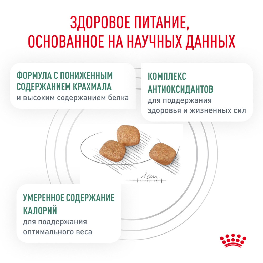 Royal Canin Diabetic Сухой диетический корм для регулирования уровня глюкозы в крови при сахарном диабете у кошек, 350 гр. 5