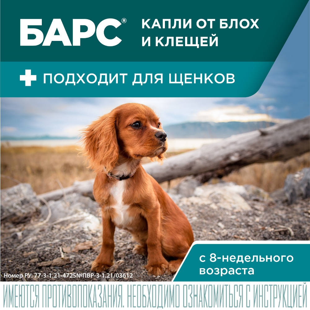 АВЗ Барс Капли от блох, иксодовых и чесоточных клещей для собак от 10 кг до 20 кг, 1 пипетка 8