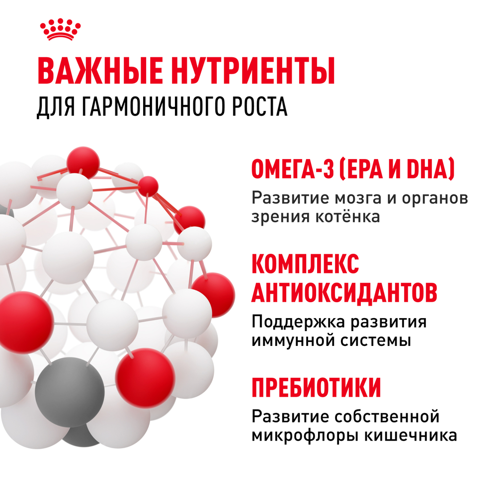 Royal Canin Kitten 36 Second Age Сухой корм для котят в возрасте от 4 до 12 месяцев, 300 гр. 5