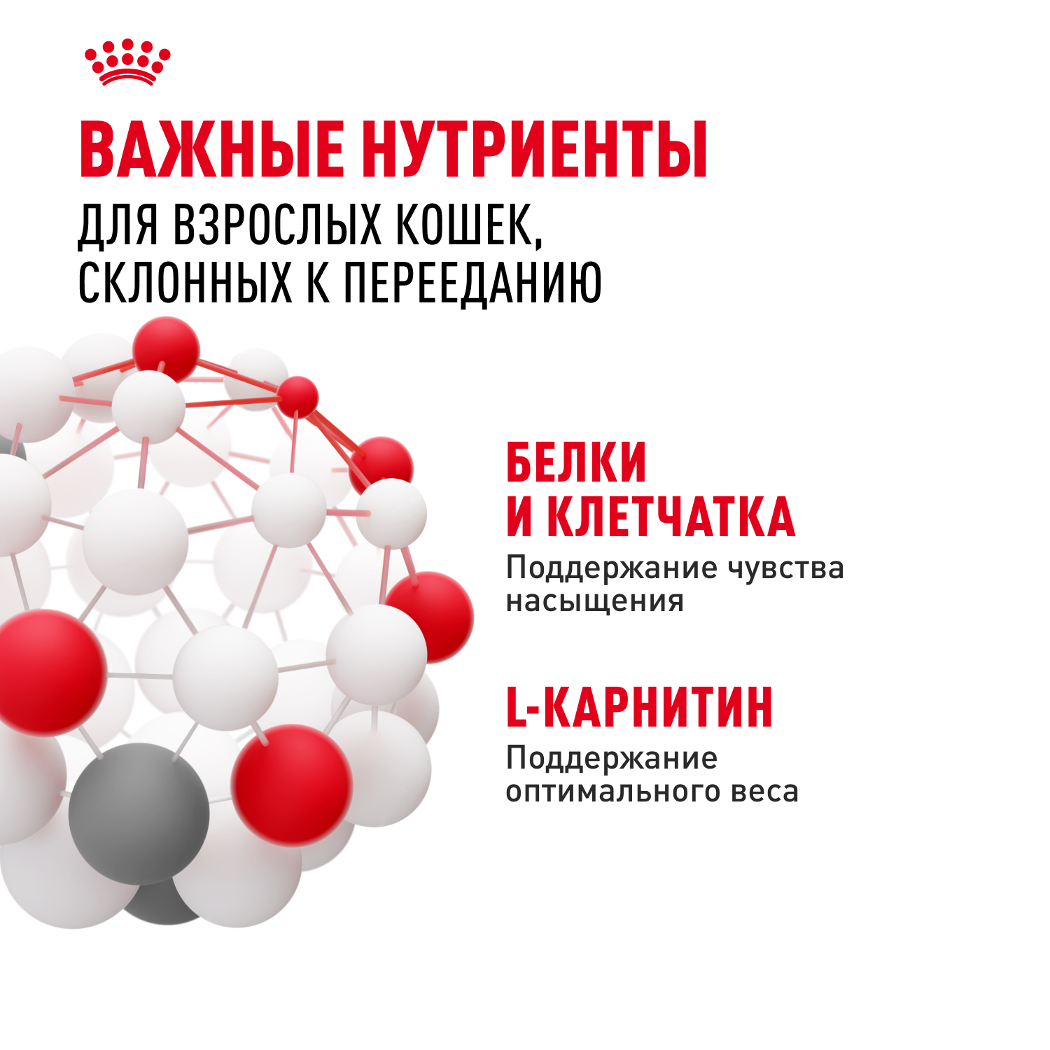 Royal Canin Appetite Control Влажный корм для кошек, для контроля выпрашивания корма, в соусе, 85 г 6