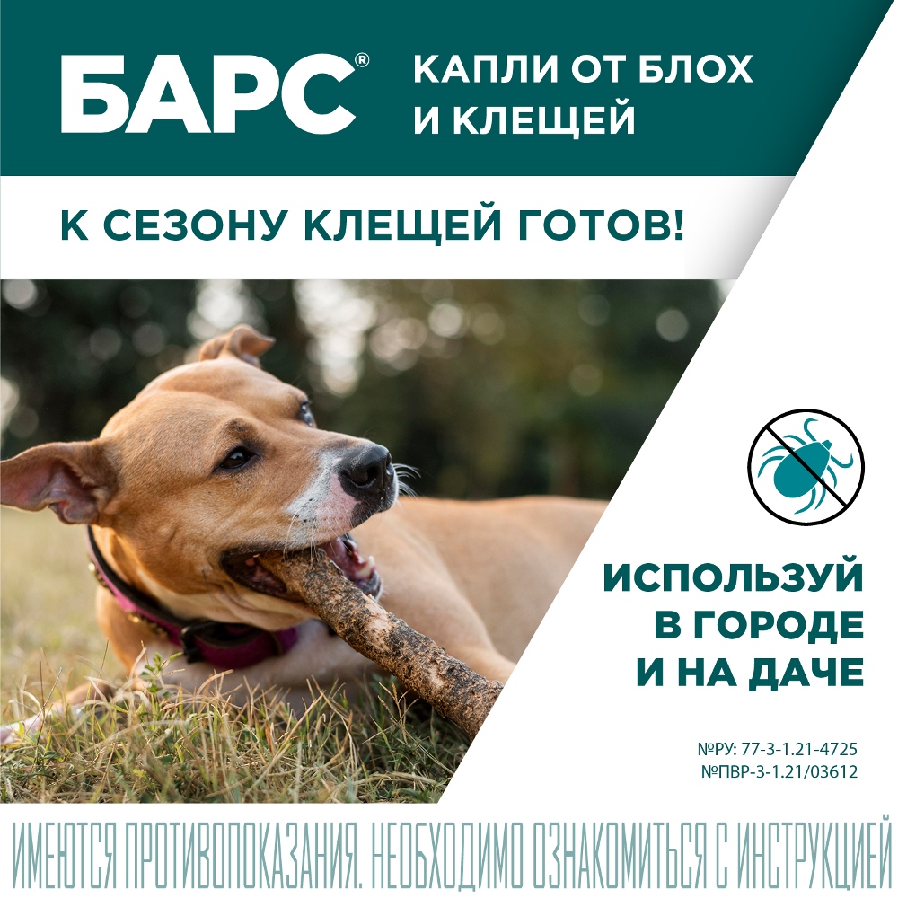 АВЗ Барс Капли от блох, иксодовых и чесоточных клещей для собак от 10 кг до 20 кг, 1 пипетка 9
