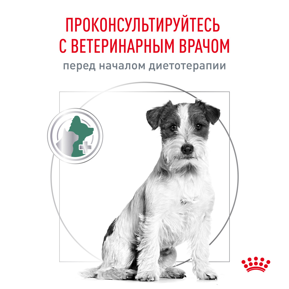 Royal Canin Satiety Weight Management Сухой корм для собак мелких пород для снижения веса, 500 гр. 9