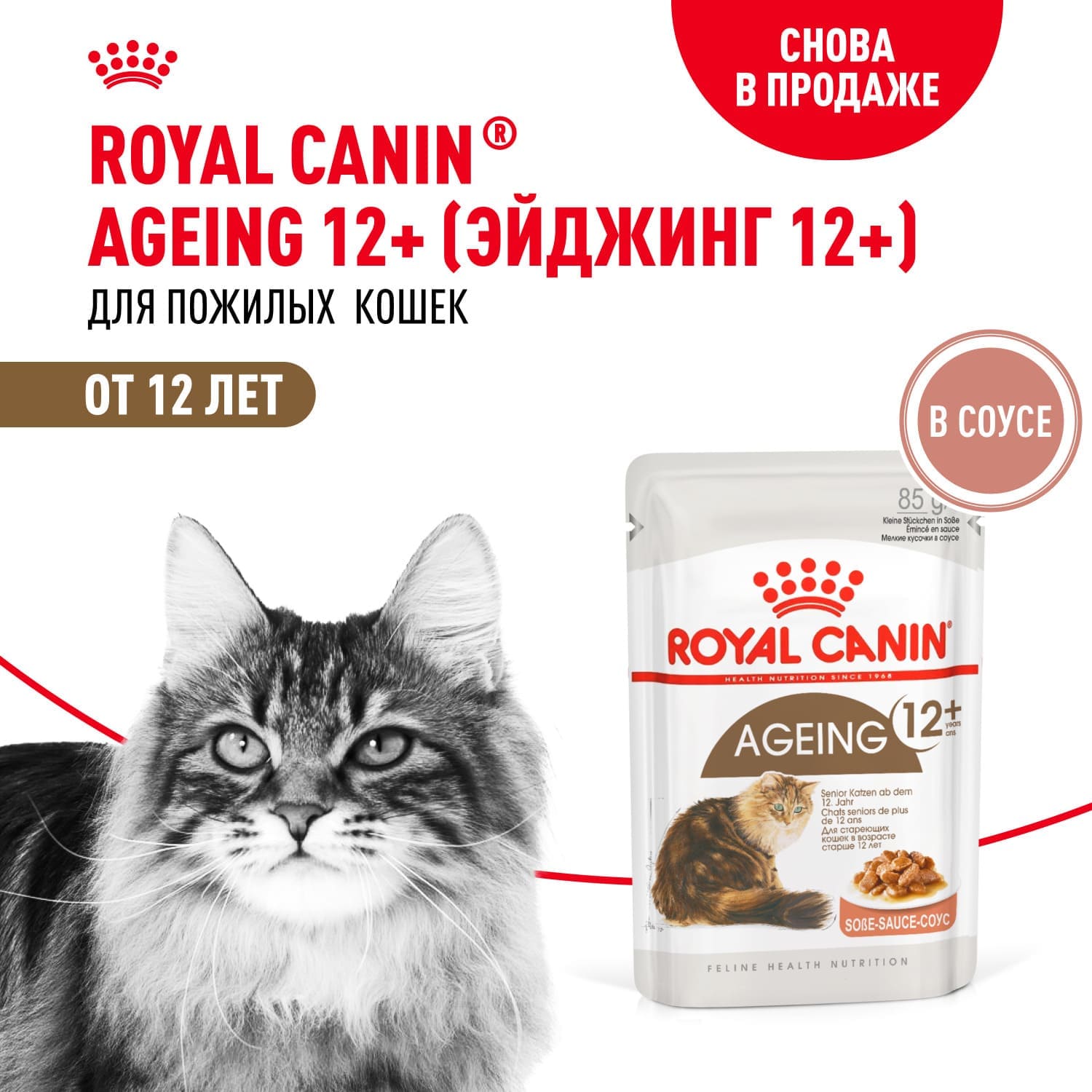 Влажный корм для стареющих кошек в возрасте старше 12 лет Royal Canin Ageing 12+ (Эйджинг 12+) Кусочки в cоусе 85 г 3