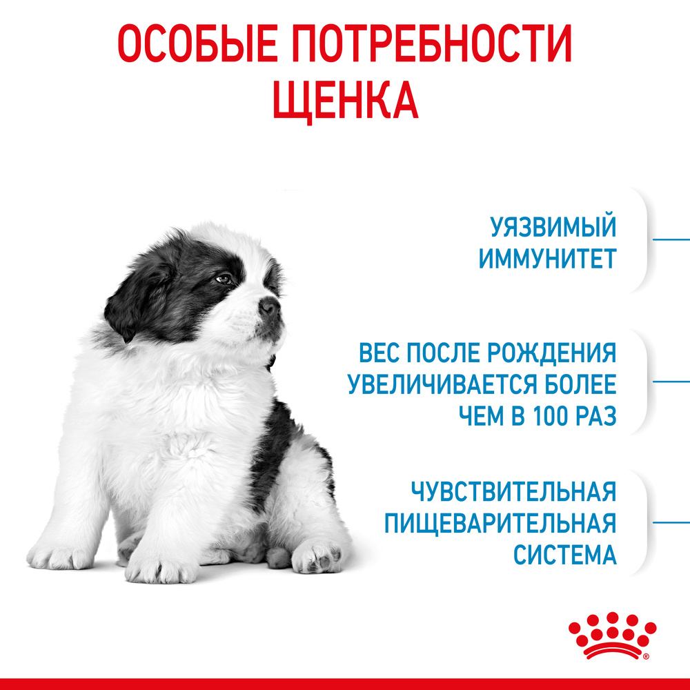Royal Canin Giant Puppy 34 Сухой корм для щенков гигантских пород в возрасте от 2 до 8 месяцев, 3,5 кг 6