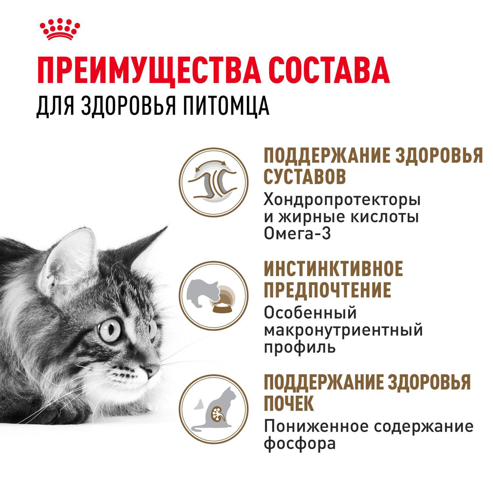 Royal Canin Ageing 12+ Влажный корм (пауч) для пожилых кошек старше 12 лет, кусочки в желе, 85 гр. 4