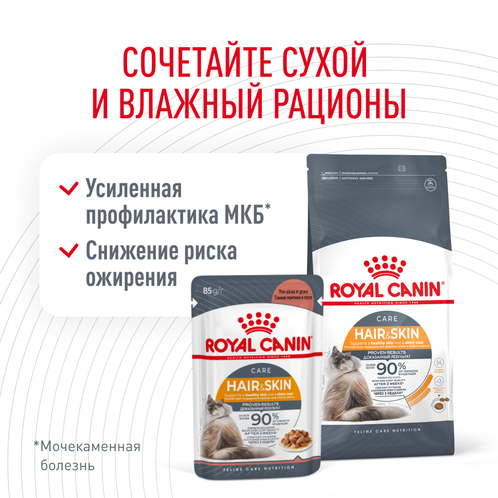 Royal Canin Intense Beauty Care Влажный корм (пауч) для поддержания здоровья кожи и блеска шерсти кошек, тонкие ломтики в соусе, 85 гр. 2